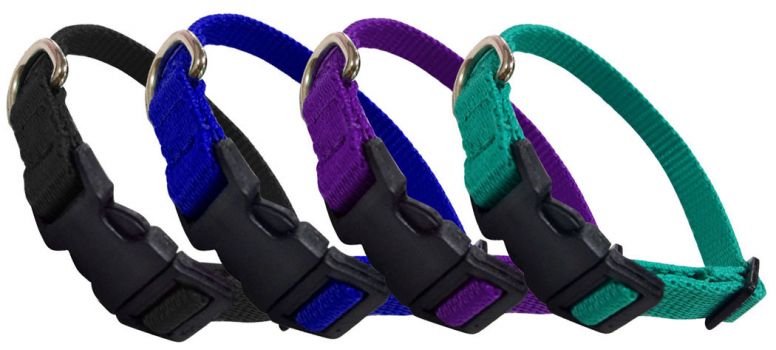 Showman Couture  Extra Small Nylon dog collar